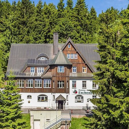 Pension Und Gaststaette Naturbaude Eschenhof 오베르비젠탈 외부 사진