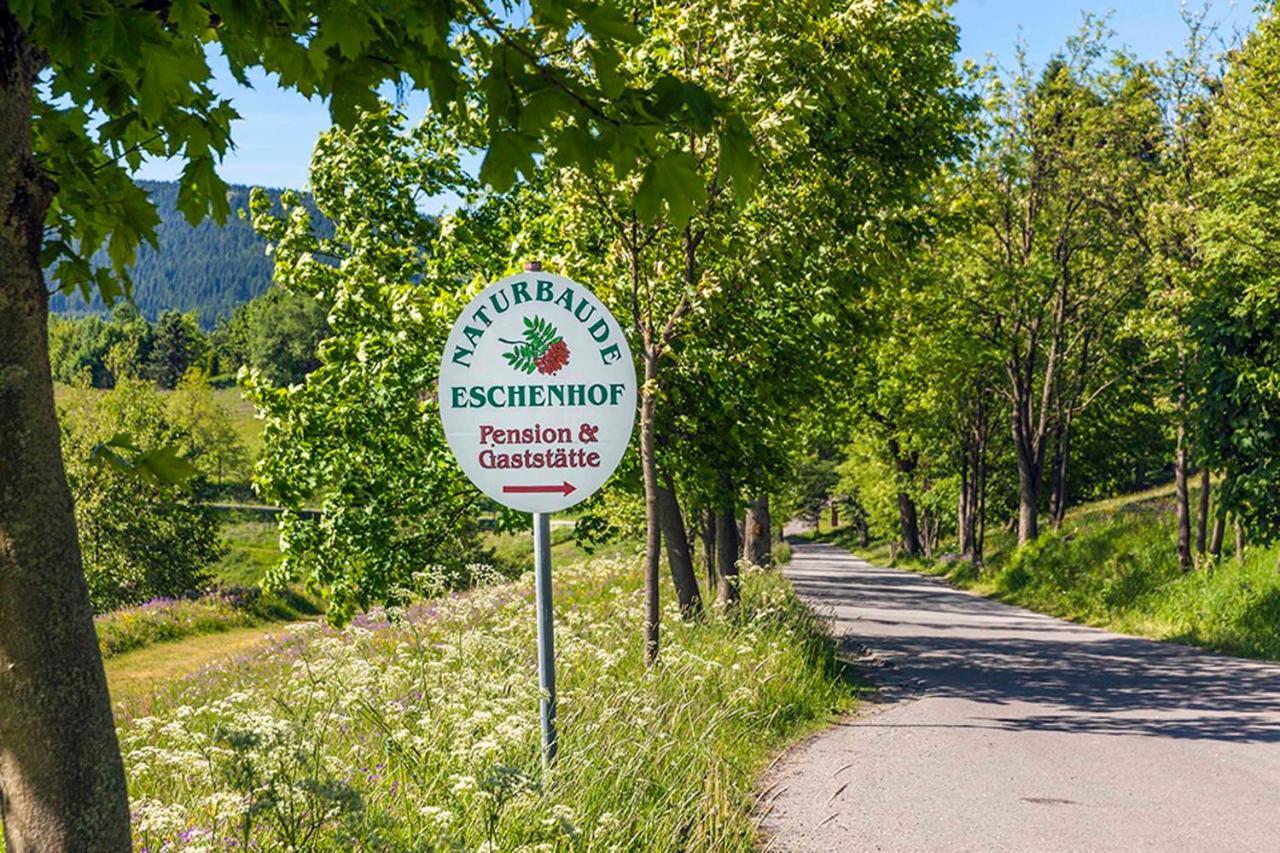 Pension Und Gaststaette Naturbaude Eschenhof 오베르비젠탈 외부 사진
